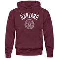 Barnesmith Hooded Sweatshirt, Unisex, Cotton/Poly Blend, Heritage Logo